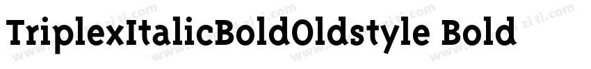 TriplexItalicBoldOldstyle Bold Italic字体转换